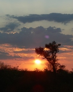 a botswana sunset