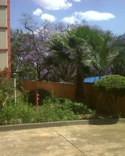 img00326 20111102 1354